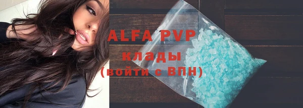a pvp Каменногорск