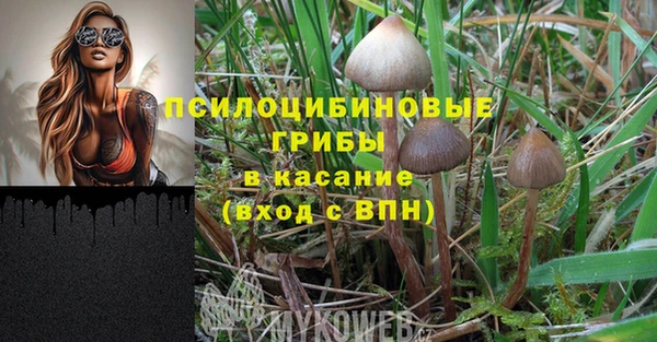 прущая мука Абинск