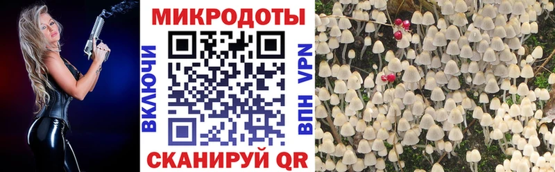 закладка  Октябрьский  Псилоцибиновые грибы ЛСД 